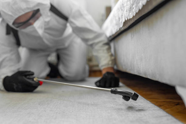 Professional Pest Control technician working in Monson Center, MA