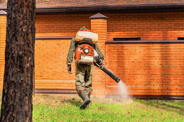Trusted Termite Control service in Monson Center, MA - Nex Pest Control